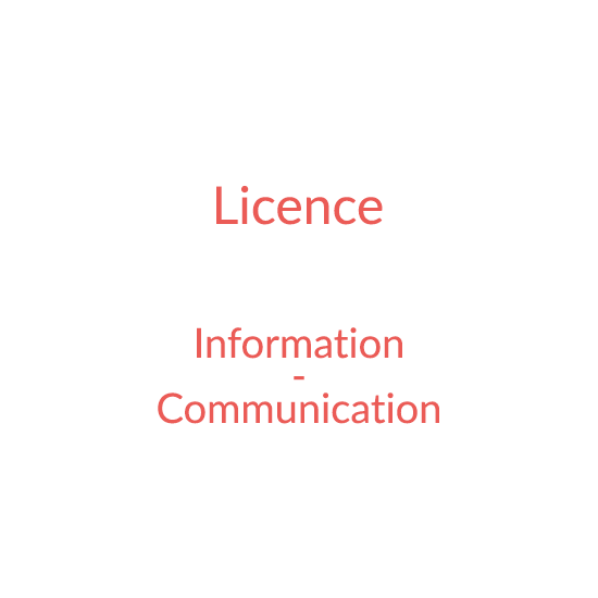 Licence Information et communication