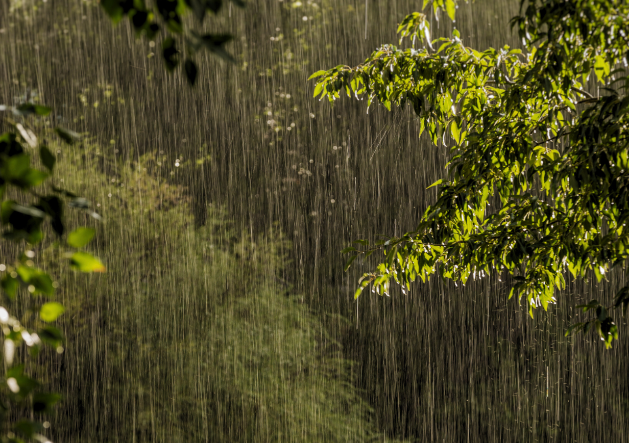Giboulées So’Nord : un concert étudiant à la Chaufferie